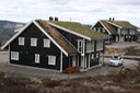 IMG 4154